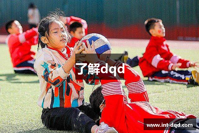 了解dqd